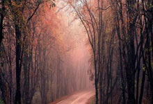 Stock Market Open on Thanksgiving and Black Friday: Trading Hours and Schedule