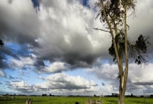 Stock Market Open on Thanksgiving and Black Friday: Trading Hours and Schedule