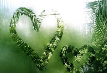 Stock Market Open on Thanksgiving and Black Friday: Trading Hours and Schedule