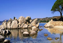 Stock Market Open on Thanksgiving and Black Friday: Trading Hours and Schedule