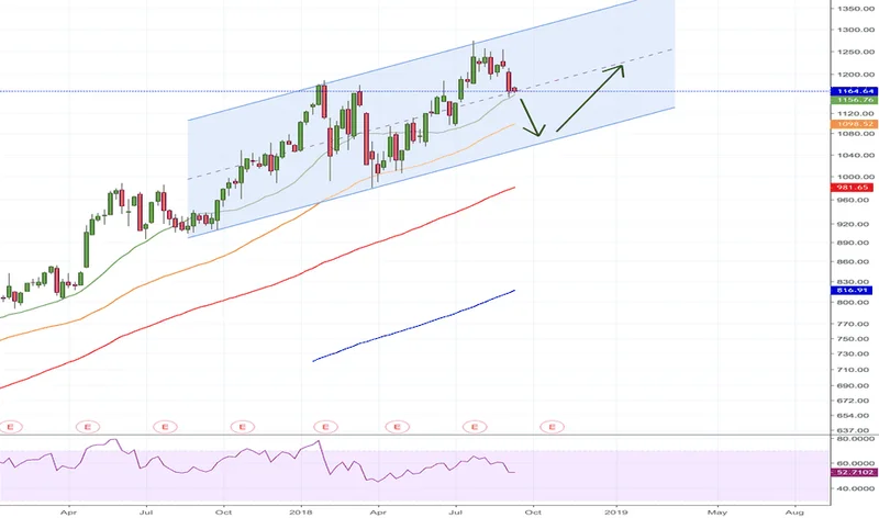 GOOG Stock: Price Trends and Investor Sentiment